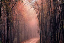 荷兰客场大胜白俄罗斯，欧洲杯席位锋芒毕露