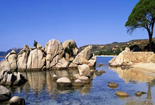 荷兰客场大胜白俄罗斯，欧洲杯席位锋芒毕露